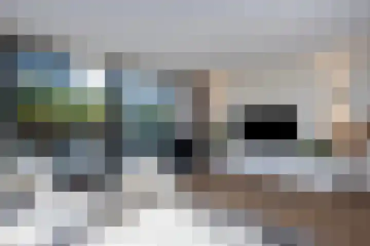 Cichoreimolen 21 Zwolle thumbnail 7