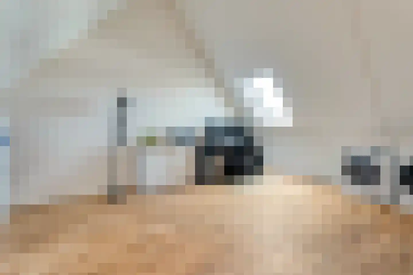 Cichoreimolen 29 Zwolle thumbnail 33