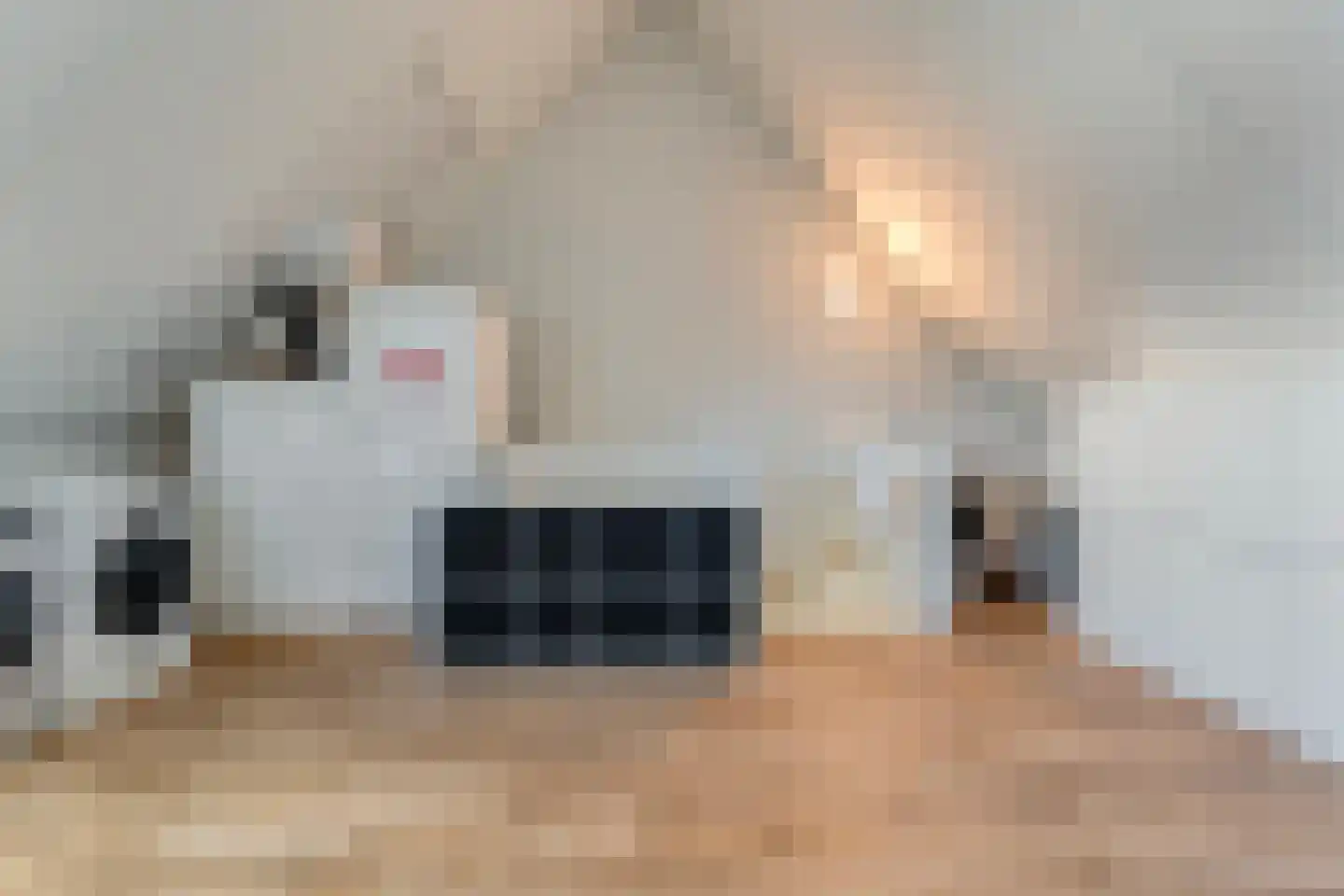 Cichoreimolen 29 Zwolle thumbnail 34
