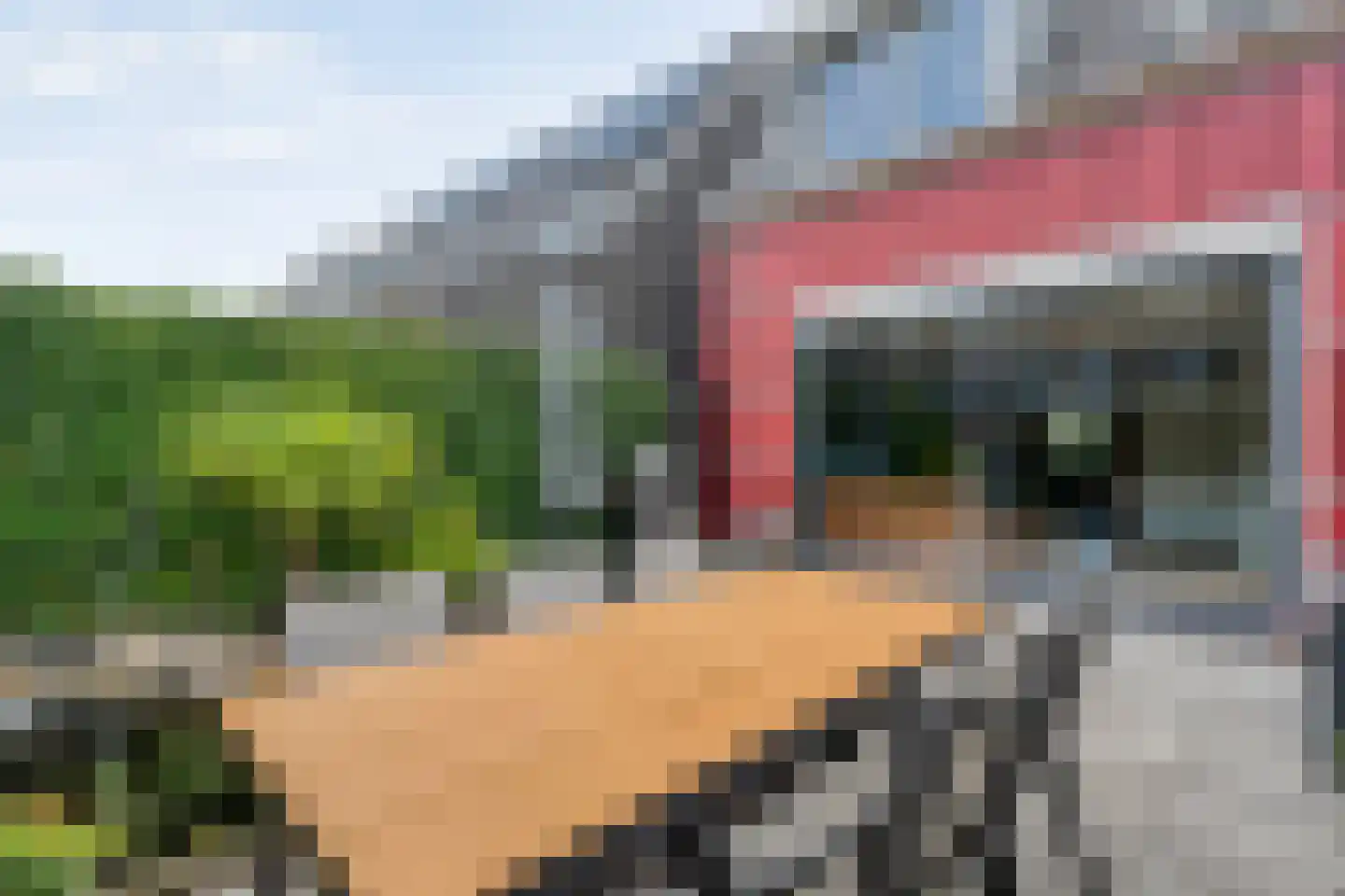 Cichoreimolen 29 Zwolle thumbnail 38
