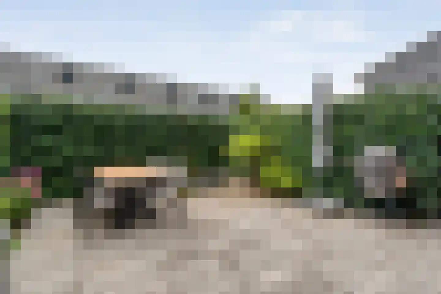 Cichoreimolen 29 Zwolle thumbnail 39