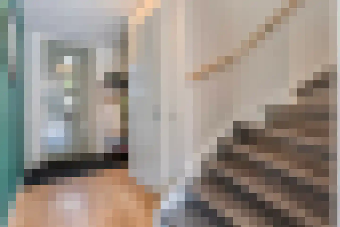 Cichoreimolen 29 Zwolle thumbnail 4