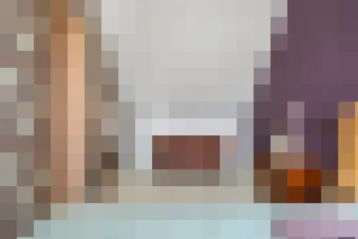 Cichoreimolen 37 Zwolle thumbnail 32