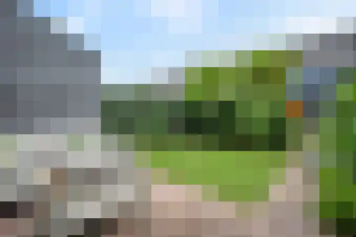 Cichoreimolen 37 Zwolle thumbnail 34
