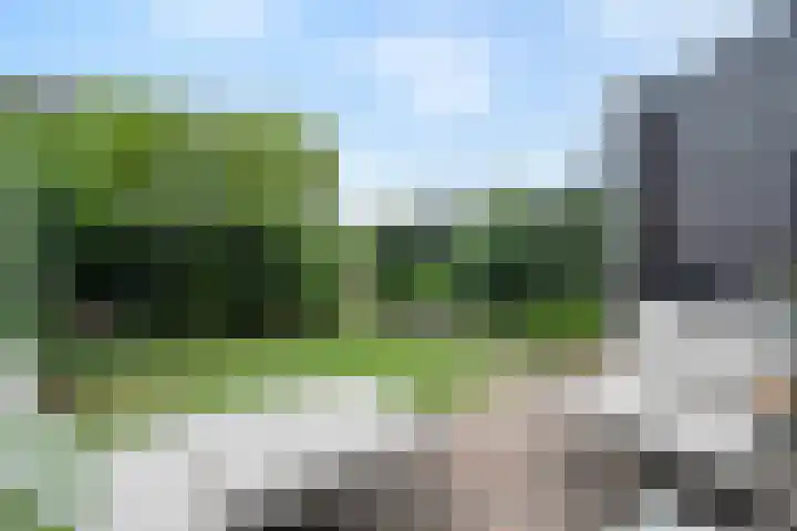Cichoreimolen 37 Zwolle thumbnail 35