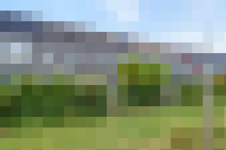 Cichoreimolen 37 Zwolle thumbnail 37