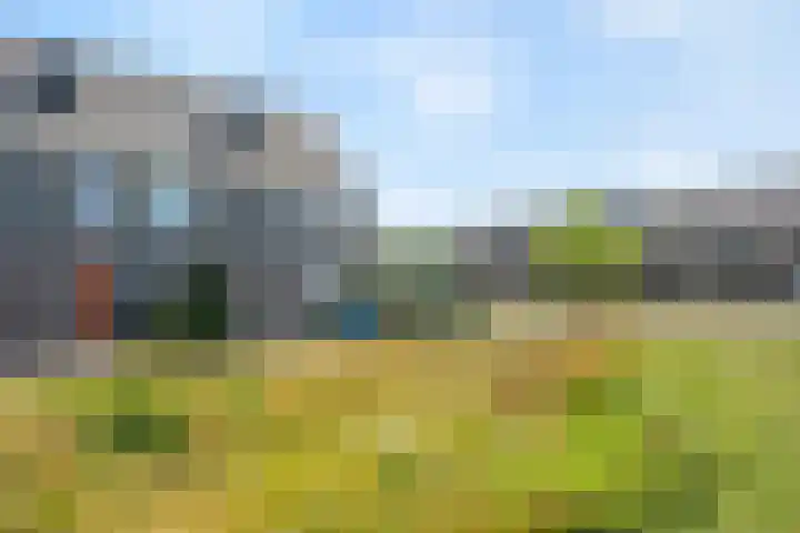 Cichoreimolen 37 Zwolle thumbnail 5