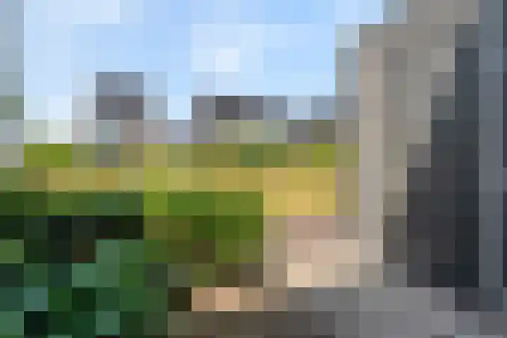 Cichoreimolen 37 Zwolle thumbnail 6