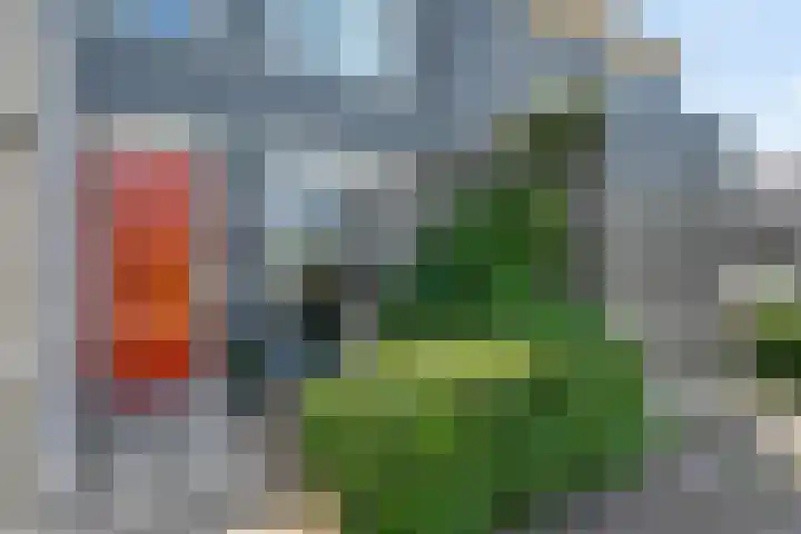 Cichoreimolen 37 Zwolle thumbnail 7