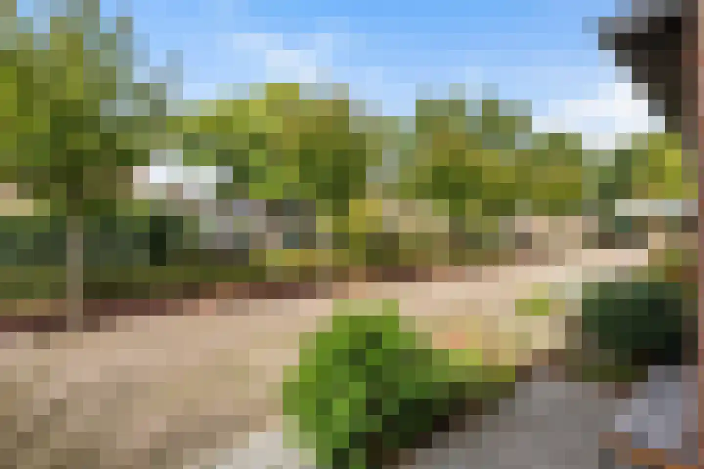 Cichoreipad 16 Zwolle thumbnail 32