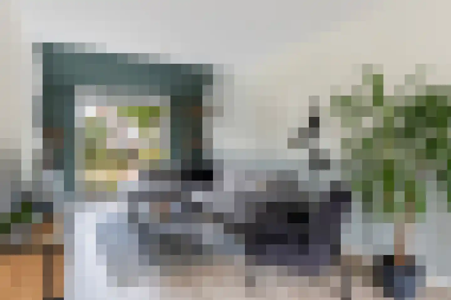 Cichoreipad 16 Zwolle thumbnail 6