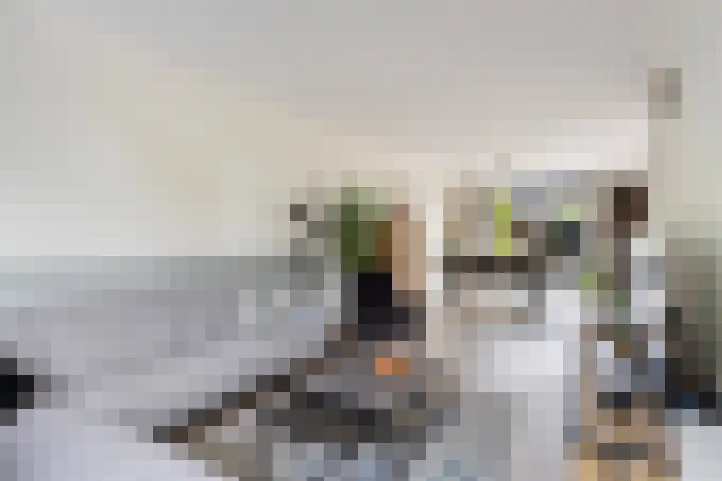 Cichoreipad 16 Zwolle thumbnail 7