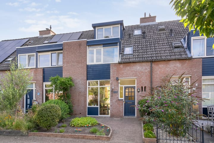 Cichoreipad 6 in Zwolle Foto