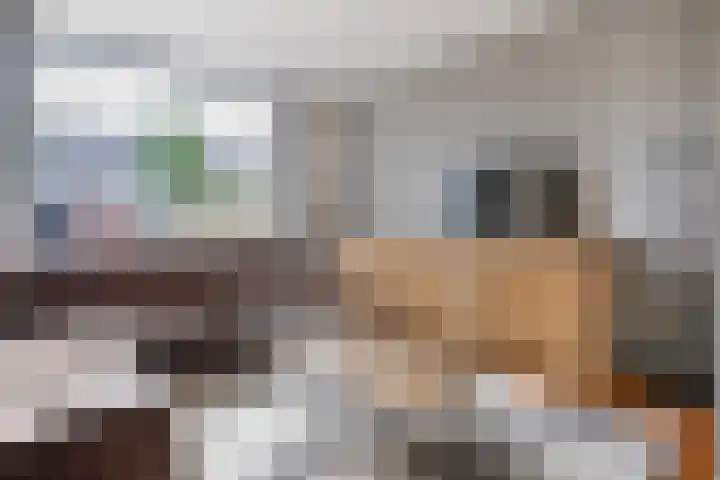 Cichoreipad 6 Zwolle thumbnail 11