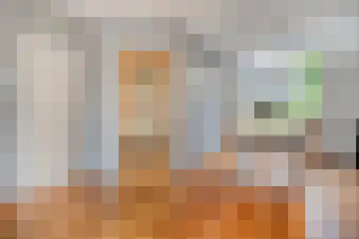 Cichoreipad 6 Zwolle thumbnail 14