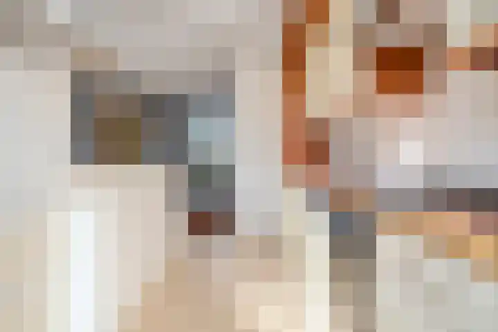 Cichoreipad 6 Zwolle thumbnail 16