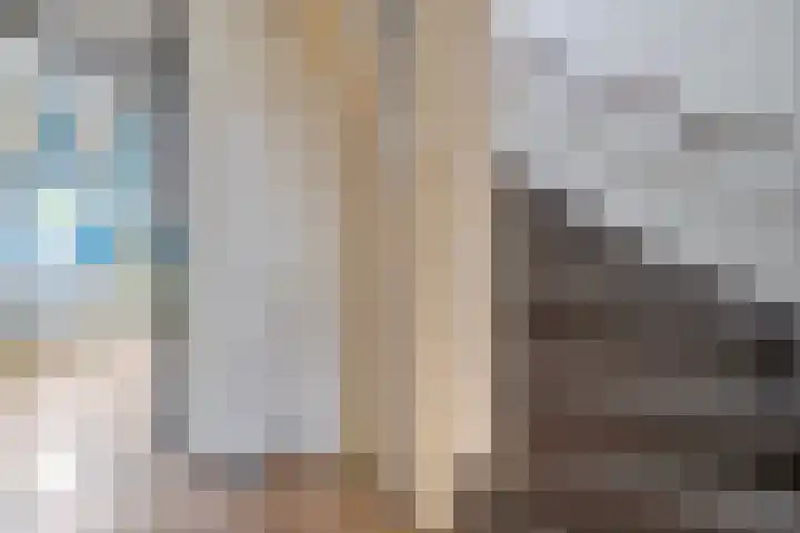 Cichoreipad 6 Zwolle thumbnail 18