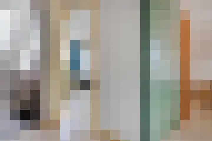 Cichoreipad 6 Zwolle thumbnail 19