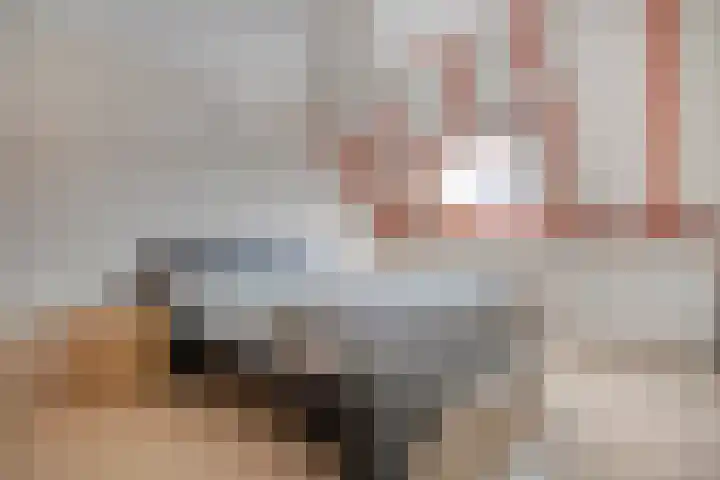 Cichoreipad 6 Zwolle thumbnail 20