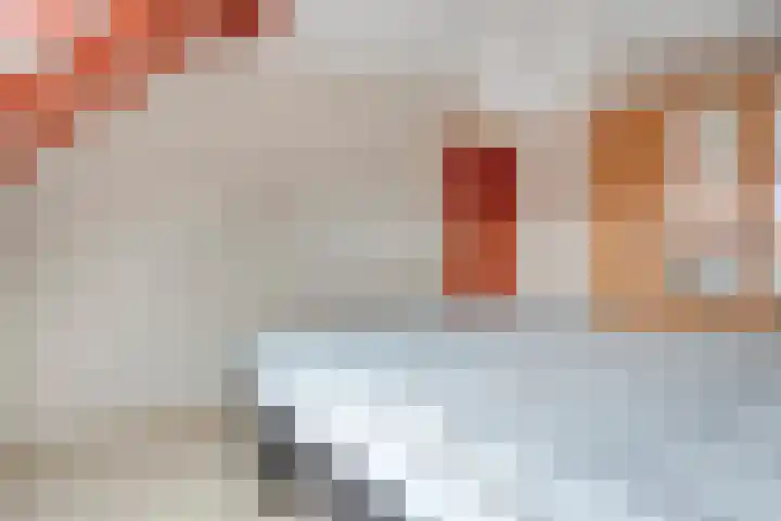 Cichoreipad 6 Zwolle thumbnail 21