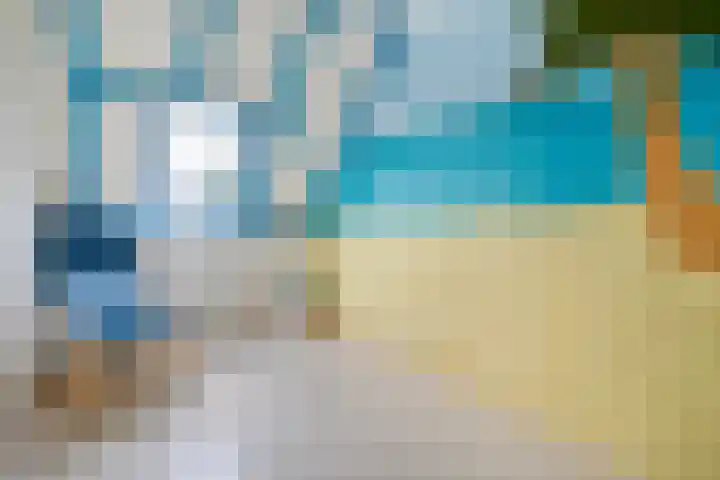 Cichoreipad 6 Zwolle thumbnail 22