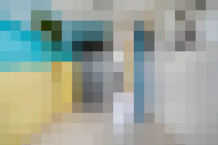 Cichoreipad 6 Zwolle thumbnail 23