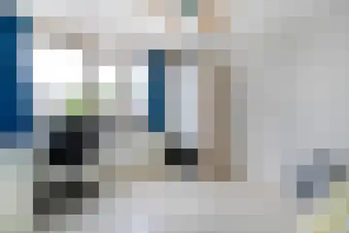 Cichoreipad 6 Zwolle thumbnail 24