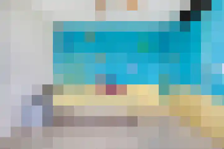 Cichoreipad 6 Zwolle thumbnail 25