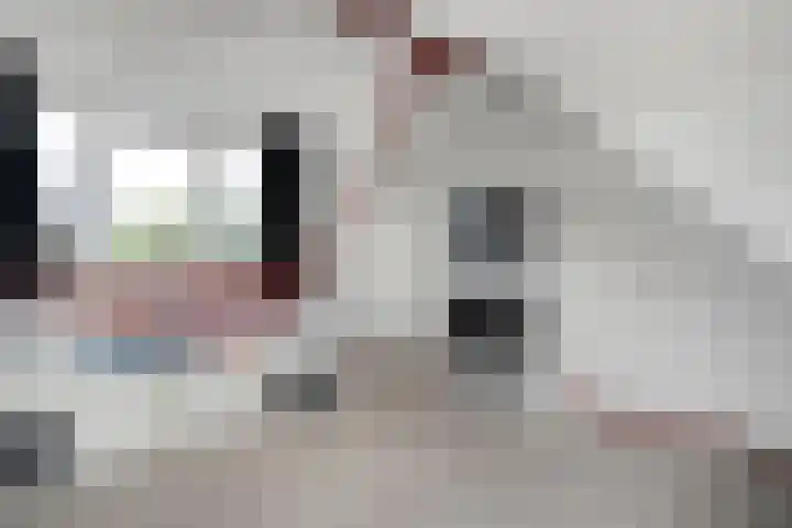 Cichoreipad 6 Zwolle thumbnail 30
