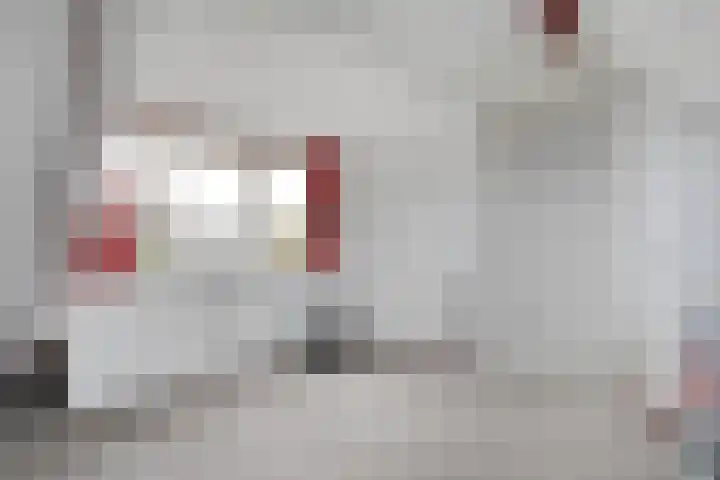 Cichoreipad 6 Zwolle thumbnail 31