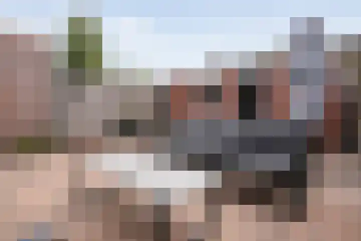Cichoreipad 6 Zwolle thumbnail 33
