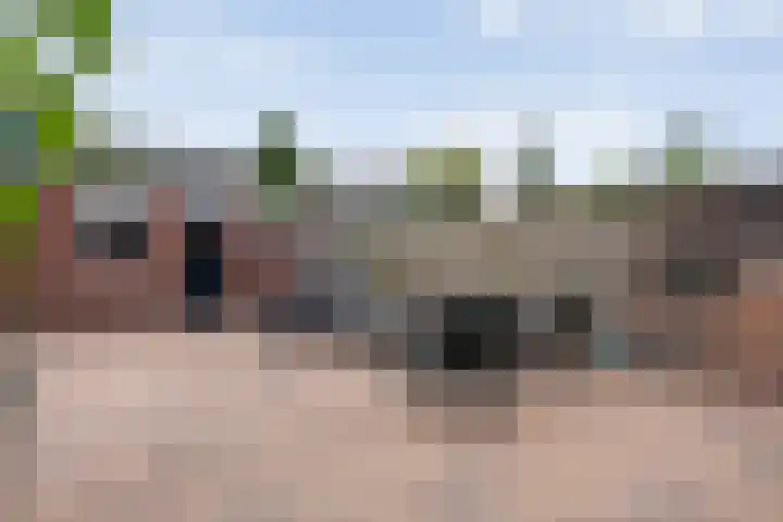 Cichoreipad 6 Zwolle thumbnail 34