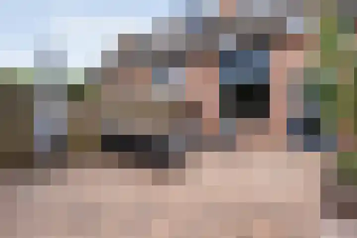 Cichoreipad 6 Zwolle thumbnail 35