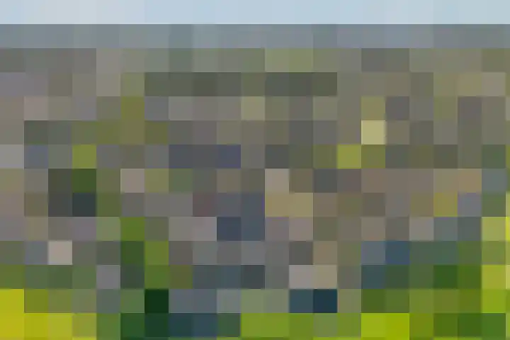 Cichoreipad 6 Zwolle thumbnail 36
