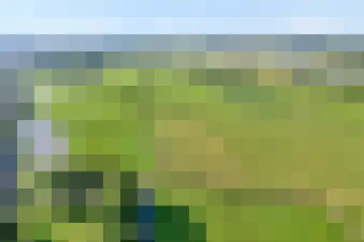 Cichoreipad 6 Zwolle thumbnail 37