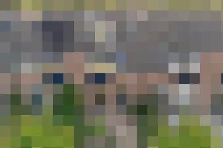 Cichoreipad 6 Zwolle thumbnail 4