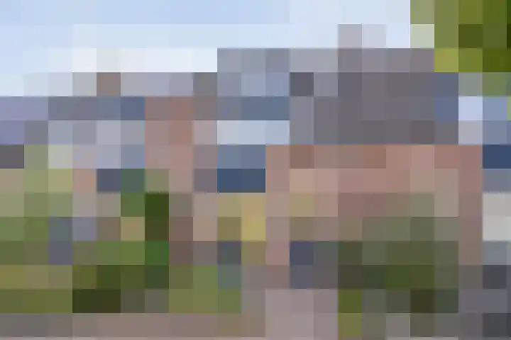 Cichoreipad 6 Zwolle thumbnail 42