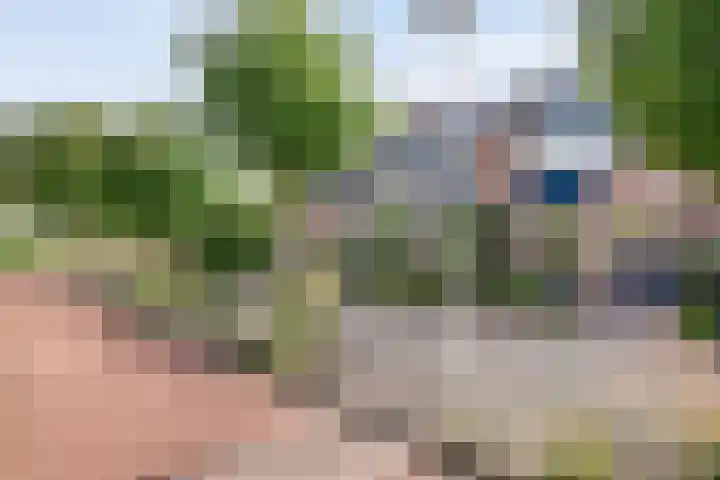 Cichoreipad 6 Zwolle thumbnail 5