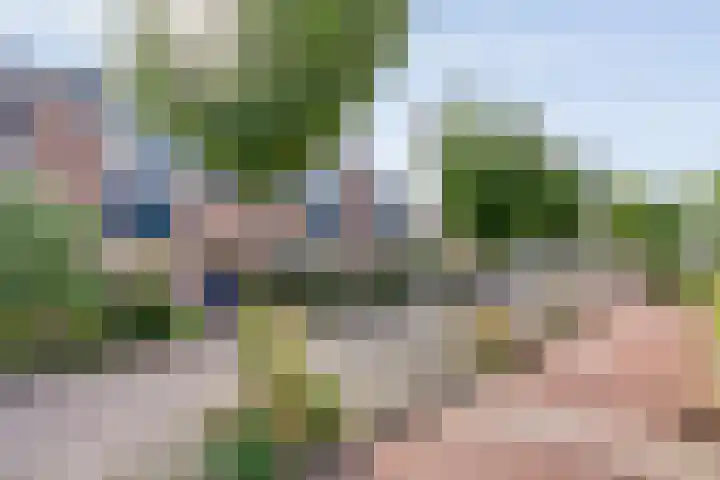 Cichoreipad 6 Zwolle thumbnail 6