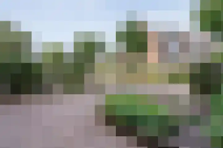Cichoreipad 6 Zwolle thumbnail 7