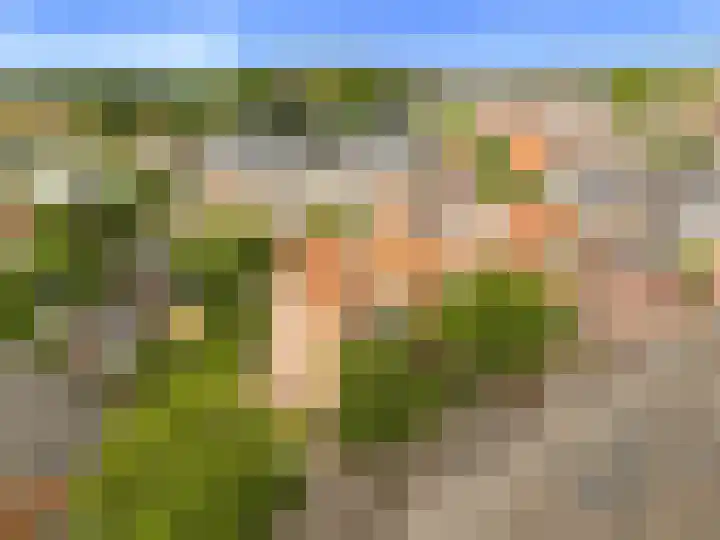 Cieweg 12 Castricum thumbnail 40