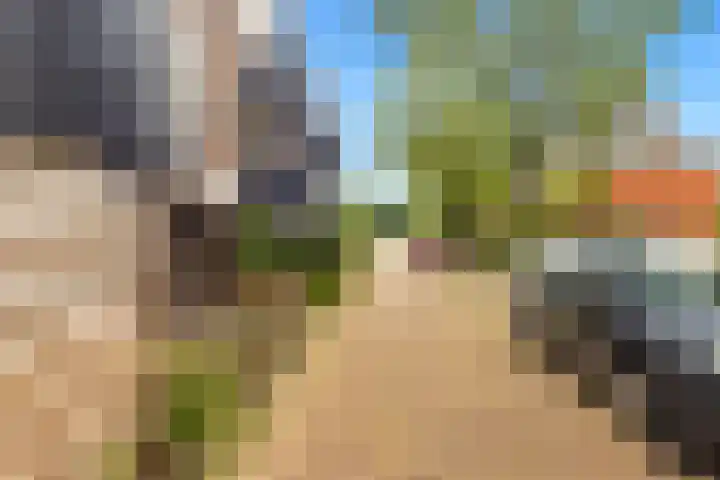 Cieweg 12 Castricum thumbnail 42