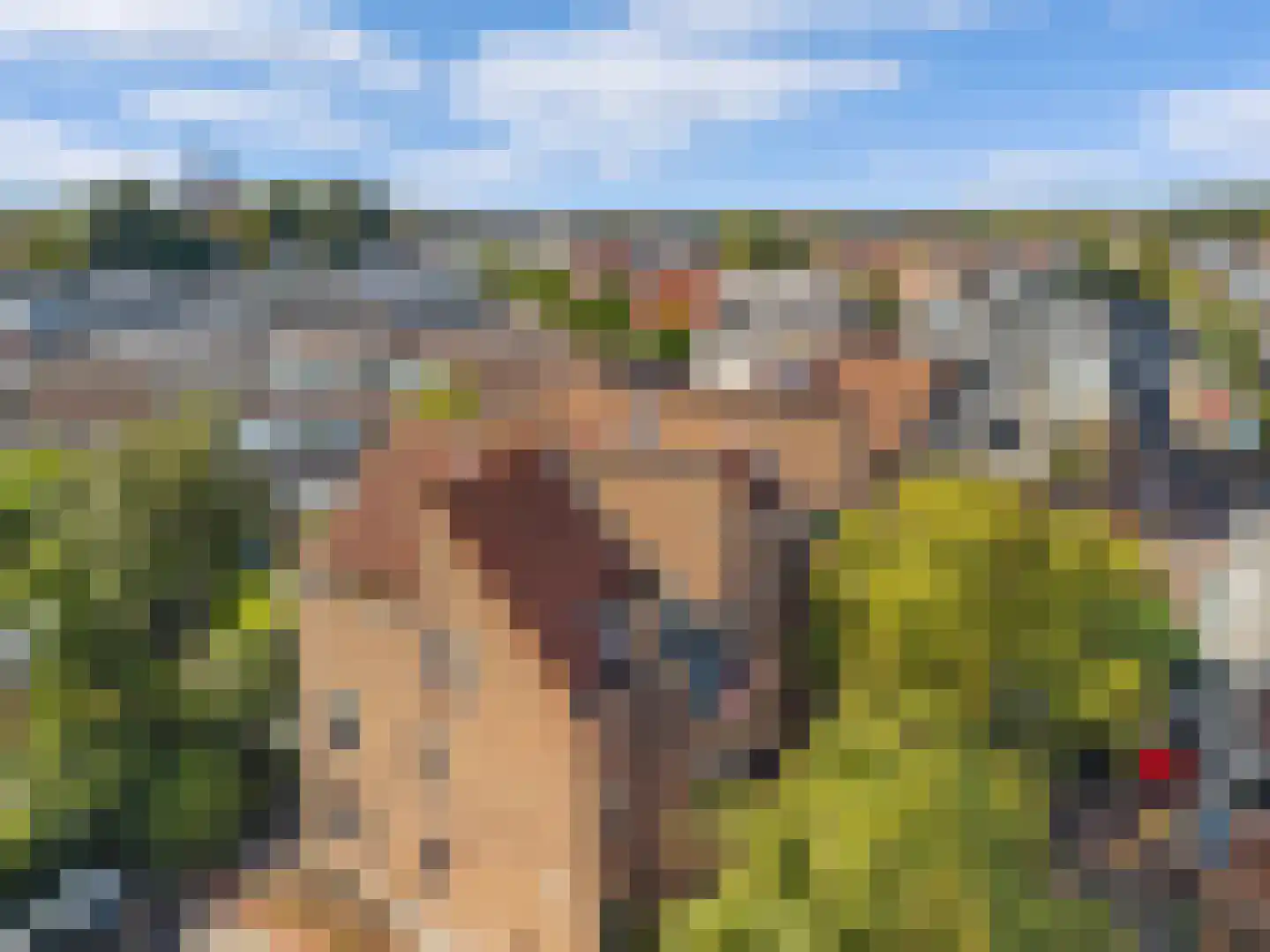 Cieweg 16 Castricum thumbnail 35