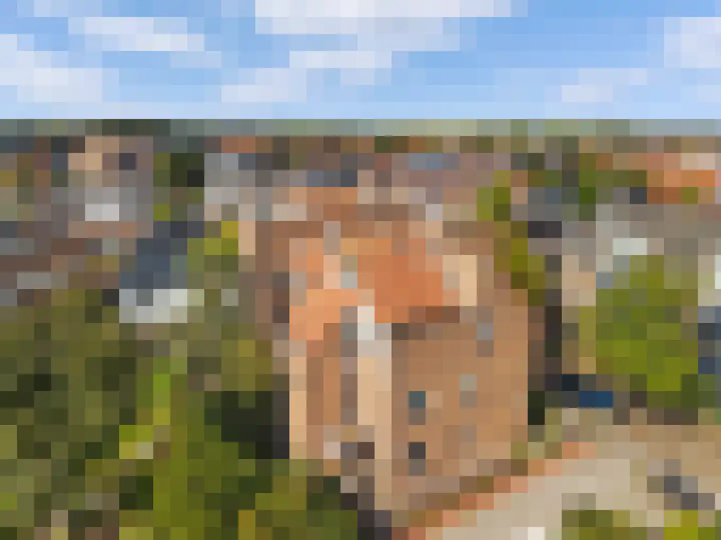 Cieweg 16 Castricum thumbnail 36