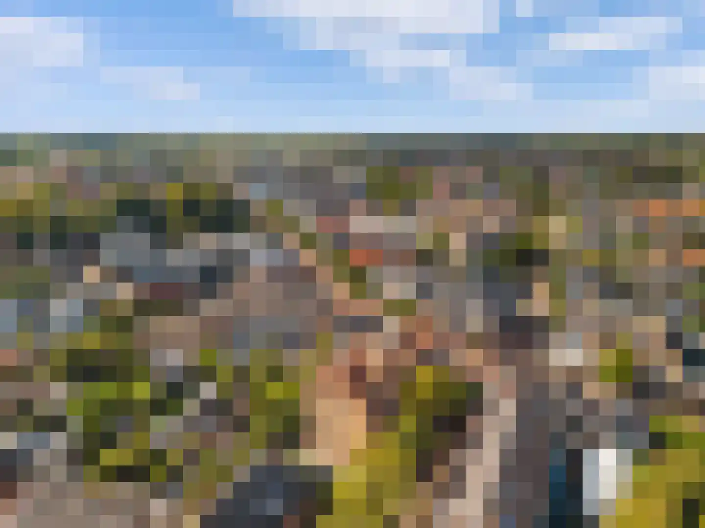 Cieweg 16 Castricum thumbnail 39