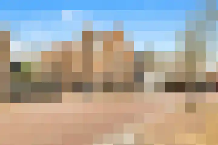 Cieweg 4 Castricum thumbnail 34