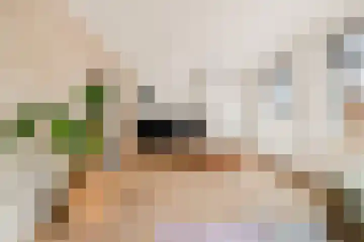 Cieweg 4 Castricum thumbnail 9