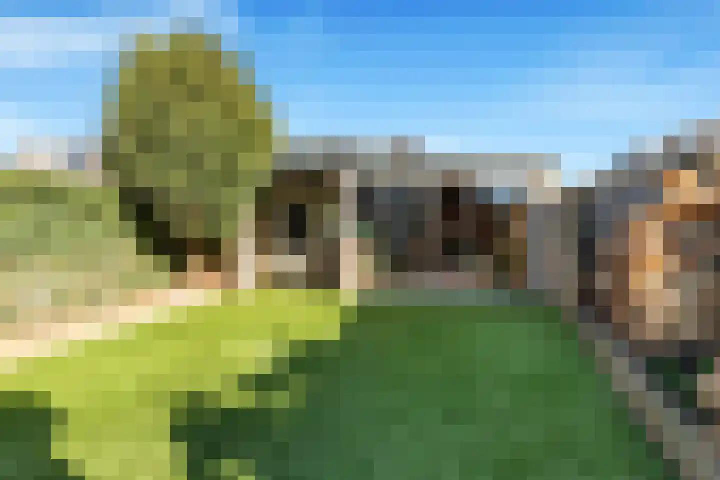 Cieweg 49 Castricum thumbnail 29