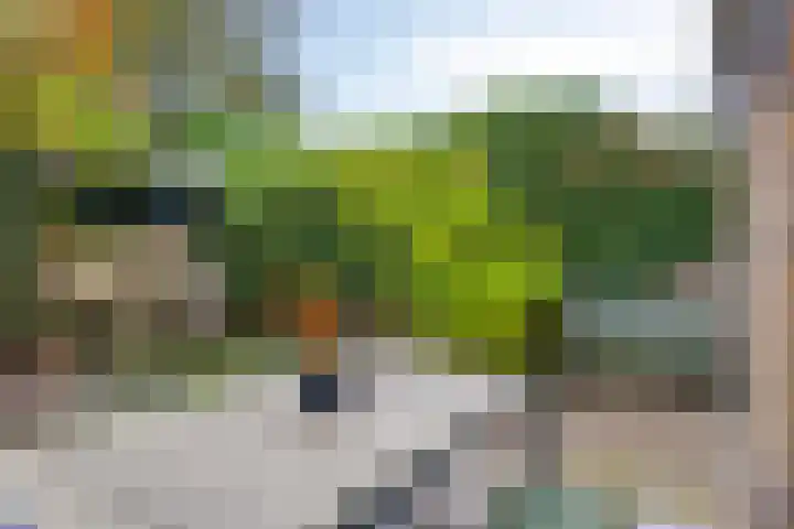 Cieweg 78 Castricum thumbnail 4