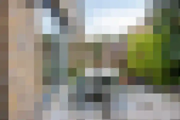 Cieweg 78 Castricum thumbnail 43